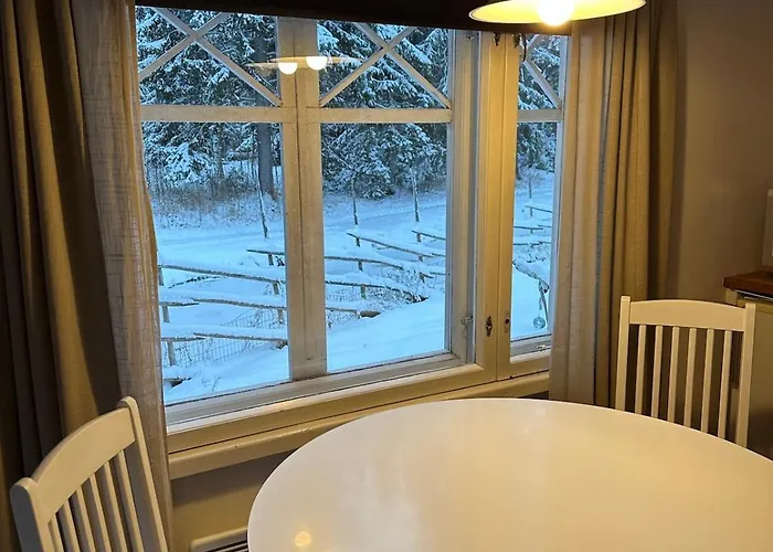 Vierasmoekki Haukipudas